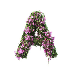 Fototapete - 3d rendering of Bougainvillea alphabet set 2	
