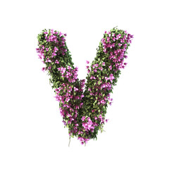 Wall Mural - 3d rendering of Bougainvillea alphabet set 2	
