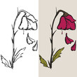 Hand drawn withered flower vector illustration, editable vector file for all your graphic needs.