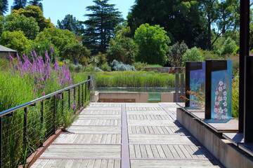 Wall Mural - wooden bridge in the park in Adelaide, Australia