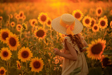 Happy Life In Summer. Portrait Of A Beautiful Red-haired Girl In A Hat On A Field Of Sunflowers With Flowers In Her Hands In The Rays Of The Setting Sun