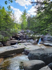 Wall Mural - Diana's Baths waterfall on rocks with trees in New Hampshire