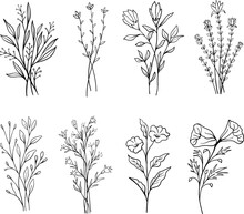 Wild Flower Illustrations. Hand Drawn Doodle Sketch Style Wild Floral Elements. Flower Vector Illustration. 