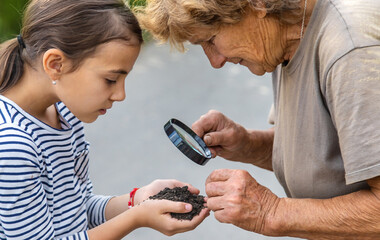 Wall Mural - The child examines the soil with a magnifying glass. Selective focus.