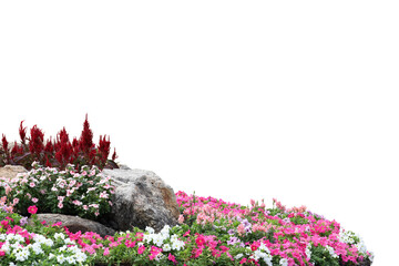 Fototapete - Realistic flowering plants foreground isolated