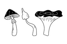 Doodle Forest Mushrooms Collection. Hand Drawn Sketch Linear Vector Illustration. Black Fungus, Line Art Forest Plant Isolated On White Background. Edible And Non-edible Mushrooms