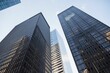 © vectorfusionart - Skyscraper