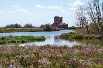 Wall Mural - valli di comacchio