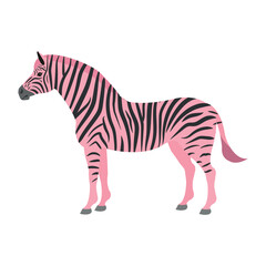 Canvas Print - Vector flat pink zebra isolated on white background