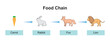 Scientific Designing of Food Chain. The Most Importante Relationship in Ecosystem. Colorful Symbols. Vector Illustration.