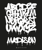 Fototapeta Młodzieżowe - Street Graffiti Tag Font, handwritten Typography vector illustration