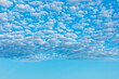 Altocumulus clouds, summer sky cloudscape