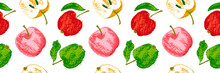 Multicolored Apples Seamless Pattern. Png Color Apple Background With Fruit Pencil Drawings For Vegan Banner, Juice, Baby Food Packaging, Jam Label Design. Cider Badge Backdrop. Organic Food Design.