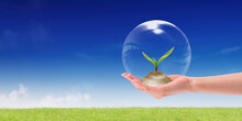 Crystal Glass Ball With Green Plant In Hand On Blue Sky Natural Background, Copy Space For Your Design, Save Earth Environment Campaign, Ecology Concept