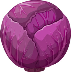 Wall Mural - Red cabbage head ripe eco vegetable, violet kale