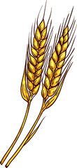 Sticker - Wheat sketch icon, grain ears spike, oat or barley