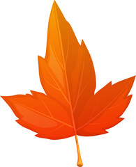 Poster - Autumn maple leaf cartoon isolated vector icon