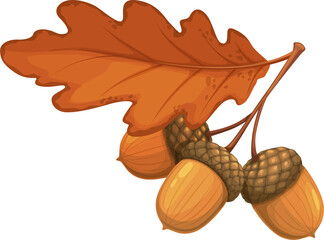 Sticker - Autumn oak acorn with dry leaves vector icon, sign