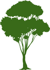 Poster - Spring summer forest tree, garden plant silhouette