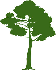 Poster - Forest and garden decor element, green exotic tree