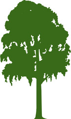 Poster - Green tree clean environment plant silhouette icon