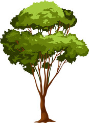 Poster - Spring or summer forest tree, park or garden plant