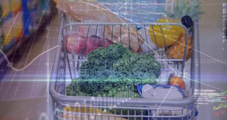 Poster - Animation of data processing and light trails over shopping cart in supermarket