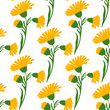 Botanical plant flowers dandelions seamless pattern vector illustration. Daisy branch with yellow flower on white background. Graphic design for greeting, banner, holiday, celebration, fashion, cover