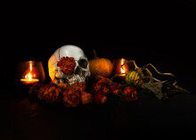 Skull, Burning Candles And Marigold Flowers On Black Background. Concept Of Dia De Los Muertos Day Or Day Of The Dead. Dark Halloween Banner.
