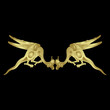 © Olena - Symmetrical animal design with two winged dragons or basilisks. Medieval Gothic illuminated manuscript style. Golden glossy silhouette on black background.