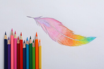 Poster - Drawing of feather and colorful pencils on white background, top view