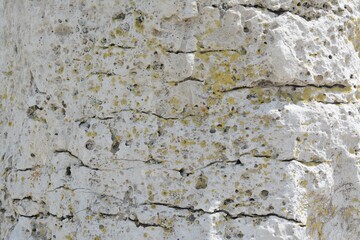 Closeup view of stone covered with lichen as background