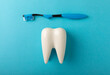 Cleaning model of a white tooth with a toothbrush on a blue background. The concept of dental hygiene. Prevention of plaque and gum disease.MOCKUP