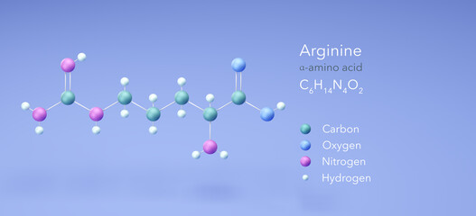 Wall Mural - arginine, amino acid, molecular structures, 3d model, Structural Chemical Formula and Atoms with Color Coding