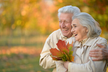 Canvas Print - Nice elderly couple in a autumn park