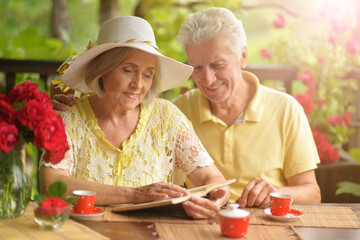 Wall Mural - Portrait of beautiful old couple reading book 