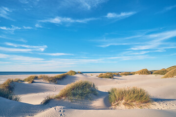 Wall Mural - Wide sand beach in northern Denmark. High quality photo