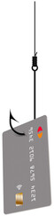 Wall Mural - A fishing line and hook hold a generic credit card in a 3-d illustration .