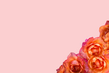 Marco De Rosas Sobre Esquina Inferior Derecha Sobre Fondo Rosado Con Espacio Para Publicidad. Concepto Primavera Y Amor. Copie Espacio.  Tarjeta De Regalos.  