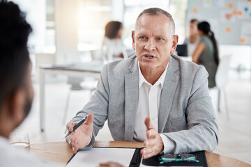 Interview, human resources and meeting with a business man talking to an employee in the hiring and recruitment process. Teamwork, strategy and vision between and manager or leader and intern