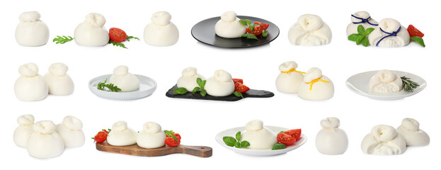 Set with fresh delicious burrata cheese on white background. Banner design