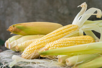 Wall Mural - Yellow Sweet corn on wood  background , Yellow Corn, sweet corn, healthy organic food, bio nutrition