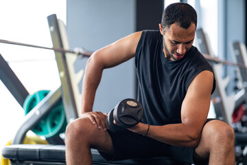 Wall Mural - Muscular African American Guy Training With Dumbbell In Modern Gym