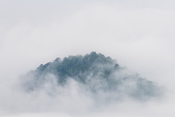 Wall Mural - misty landscape with forest. foggy clouds above tree.