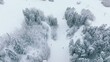 Aerial 4K winter ski resort footage with fast skiers riding down hill on cold white winter day. People having fun at winter sport activity on snowy mountain on path between scenic winter fir forest