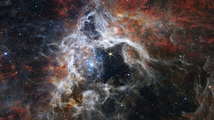 Wall Mural - the tarantula nebula by webb space telescope. elements of this picture furnished by nasa