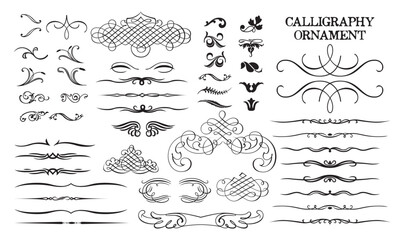 calligraphy ornament set. royal decorative divider. vintage lines. scrollwork elegant swirl. vintage