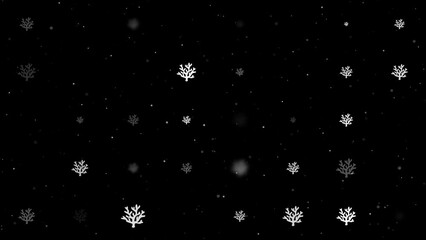 Poster - Template animation of evenly spaced coral symbols of different sizes and opacity. Animation of transparency and size. Seamless looped 4k animation on black background with stars