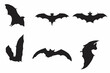 Horror black bats group isolated on black vector, bat silhouette 