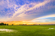 Rice field at sunset with beautiful clouds in rainy season, countryside of Thailand